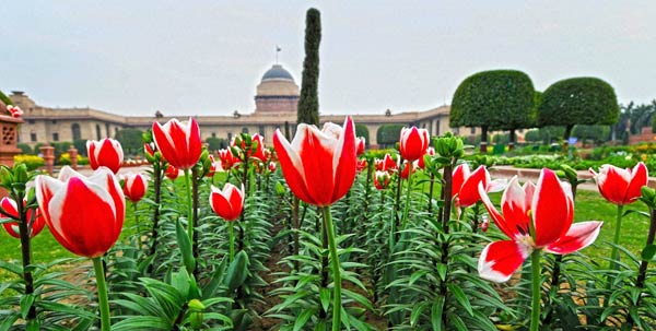 Best Places To Visit In New Delhi