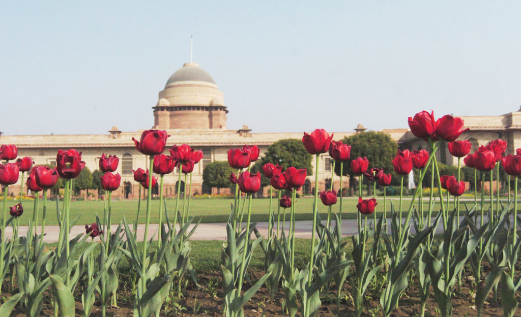 Most Popular Gardens To Visit In Delhi
