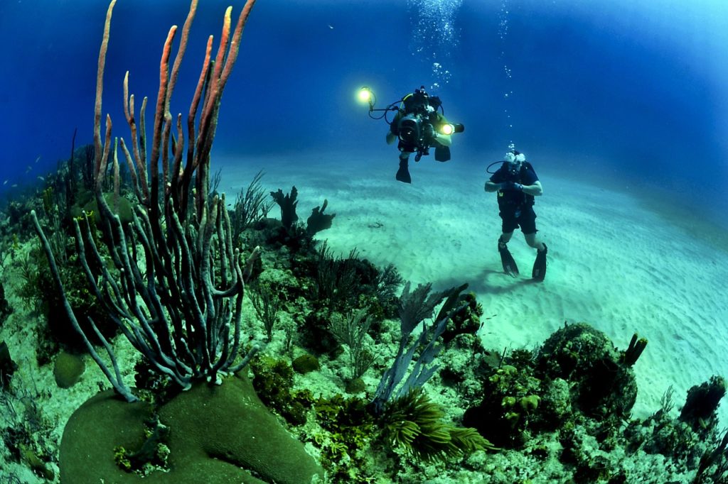 A Complete Guide To Start Scuba Diving