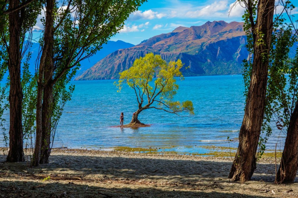 6 trips you must do in the South Island New Zealand