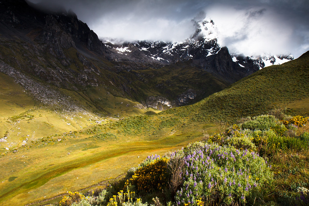 Valley of flowers trek