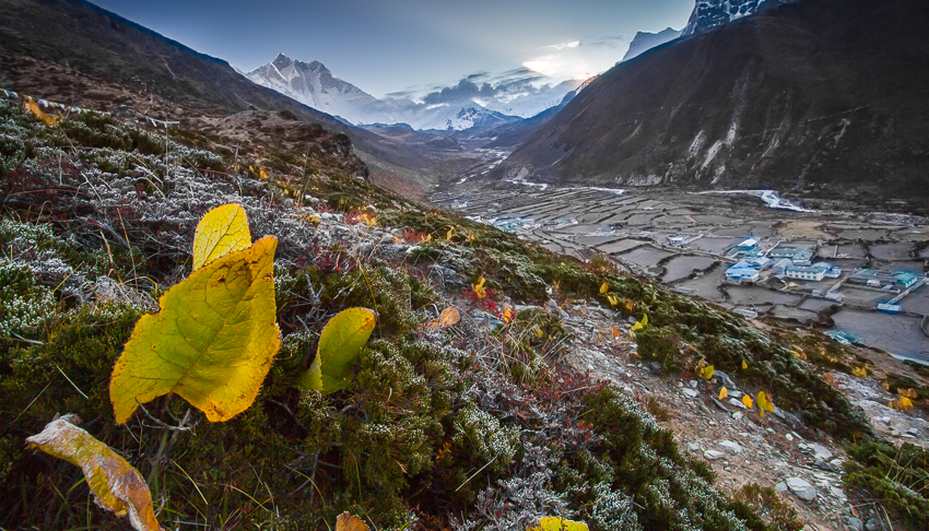 Valley of flowers trek
