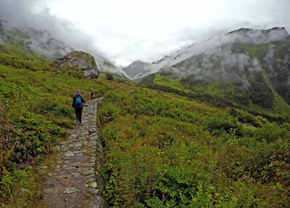 Photo from https://www.euttaranchal.com/ Valley of flowers trek